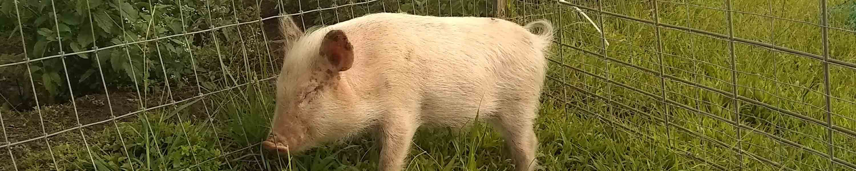 Squiggy checking out his new digs