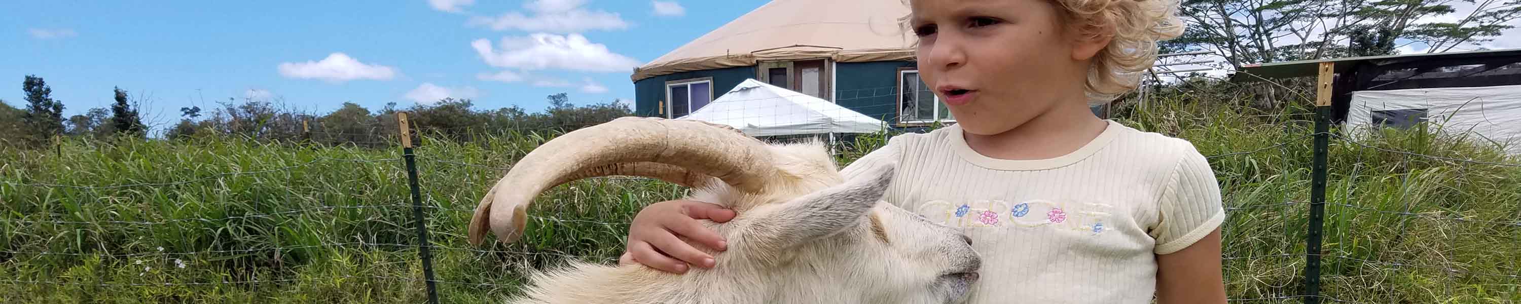 Titis getting cuddled by a sanctuary friend, Iris
